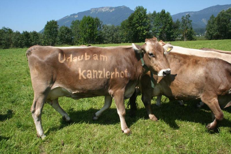 Kanzlerhof Bad Mitterndorf Eksteriør billede